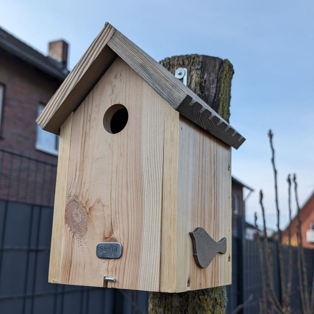 Nistkasten richtig anbringen