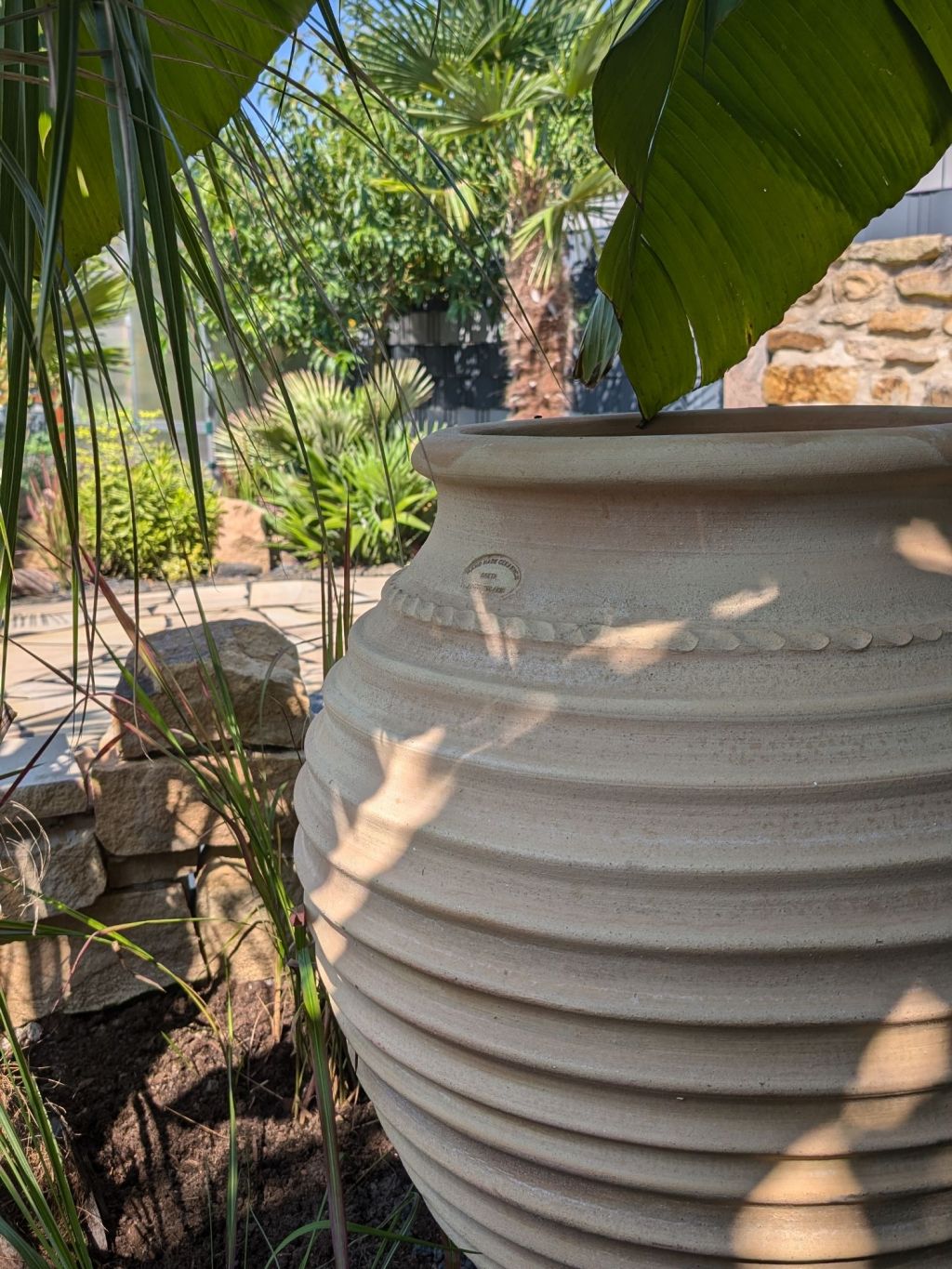 Mediterranes Gärtnern: Die wichtigsten Basics für&nbsp;Anfänger