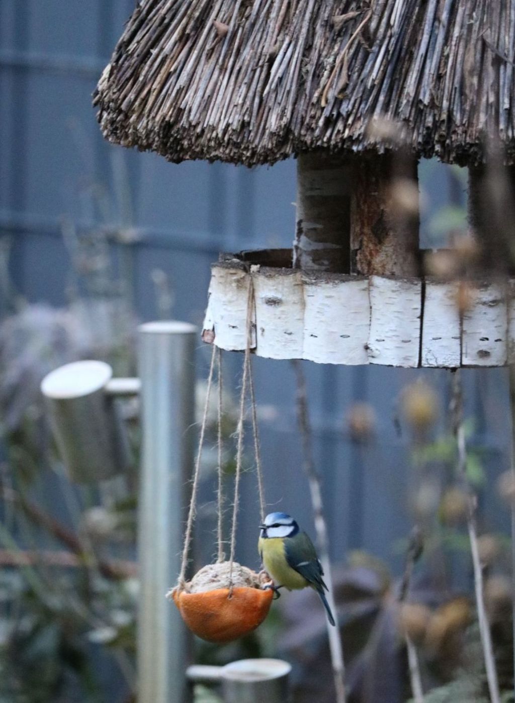 Ganzjahresfütterung?!