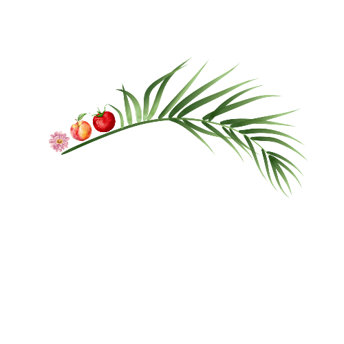 Jacky's Traumgarten