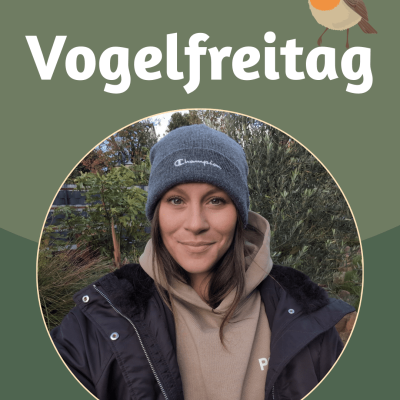 Vogelfreitag & Futterplatz des&nbsp;Monats