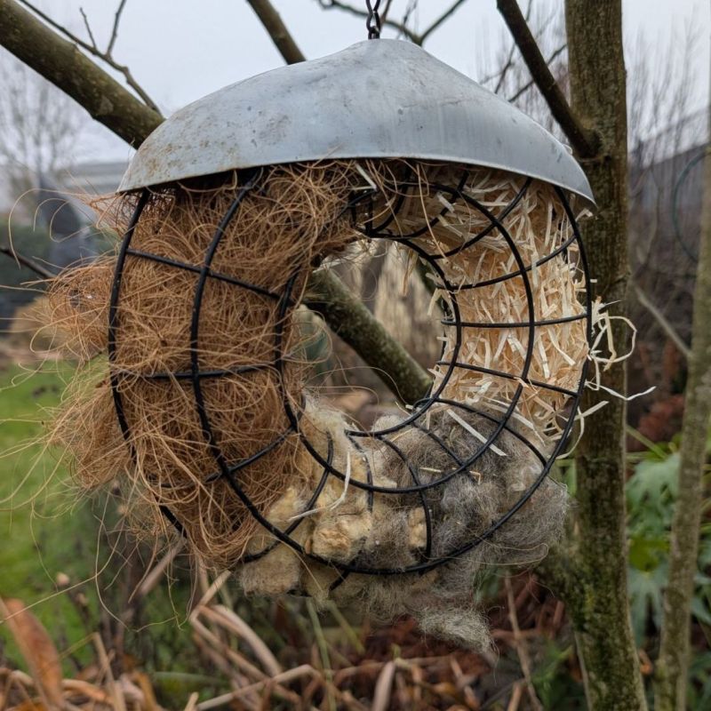 Vogelbaumarkt im Garten – sinnvoll oder&nbsp;überflüssig?